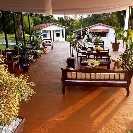 Raizama Fazenda Hotel Alexania Exterior foto